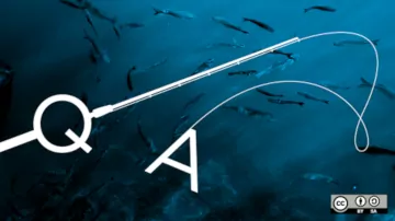 illustrazione di una canna da pesca che unisce le due lettere Q e A su uno sfondo di un mare in cui nuotano dei pesci